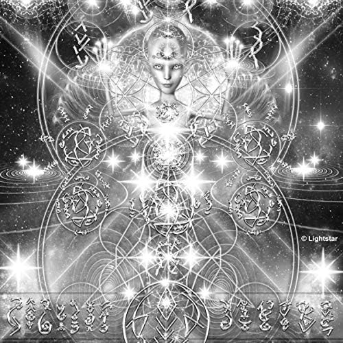 The Extraterrestrial Species Almanac: The Ultimate Guide to Greys, Reptilians, Hybrids, and Nordics (MUFON) by Craig Campobasso