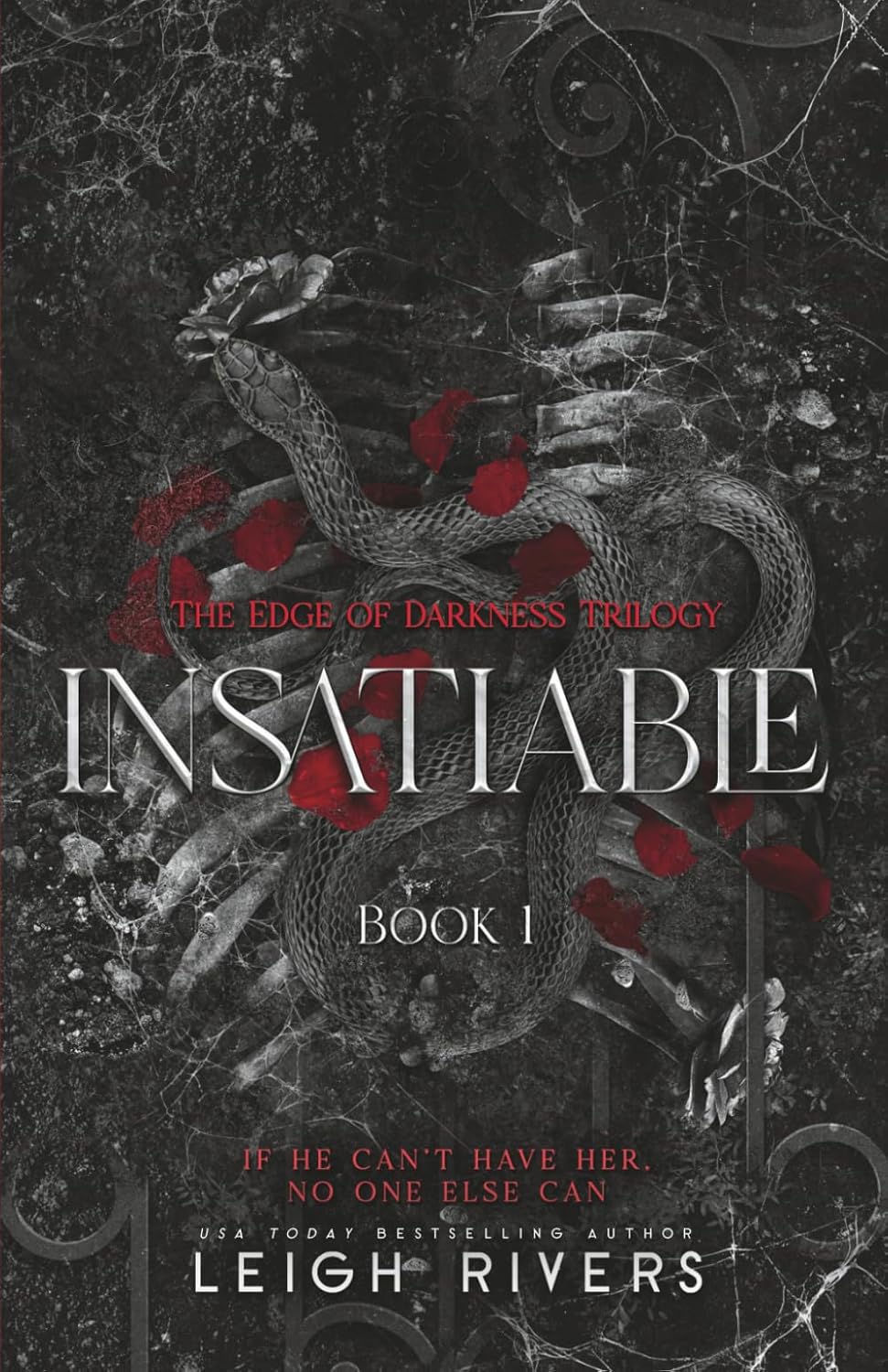 Insatiable (The Edge of Darkness: Book 1) (The Edge of Darkness Trilogy) by Leigh Rivers