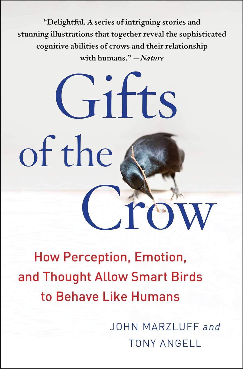 Gifts of the Crow: How Perception, Emotion, and Thought Allow Smart Birds to Behave Like Humans by John Marzluff Ph.D.