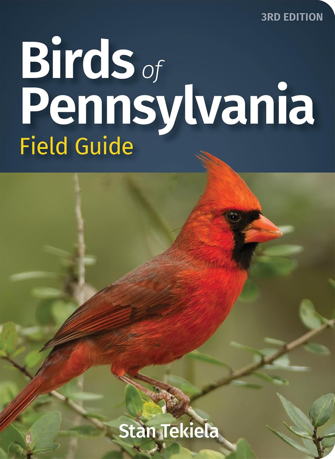 Birds of Pennsylvania Field Guide (Bird Identification Guides) by Stan Tekiela
