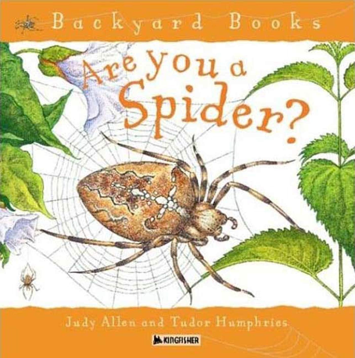 Are You a Spider? (Backyard Books) by Judy Allen