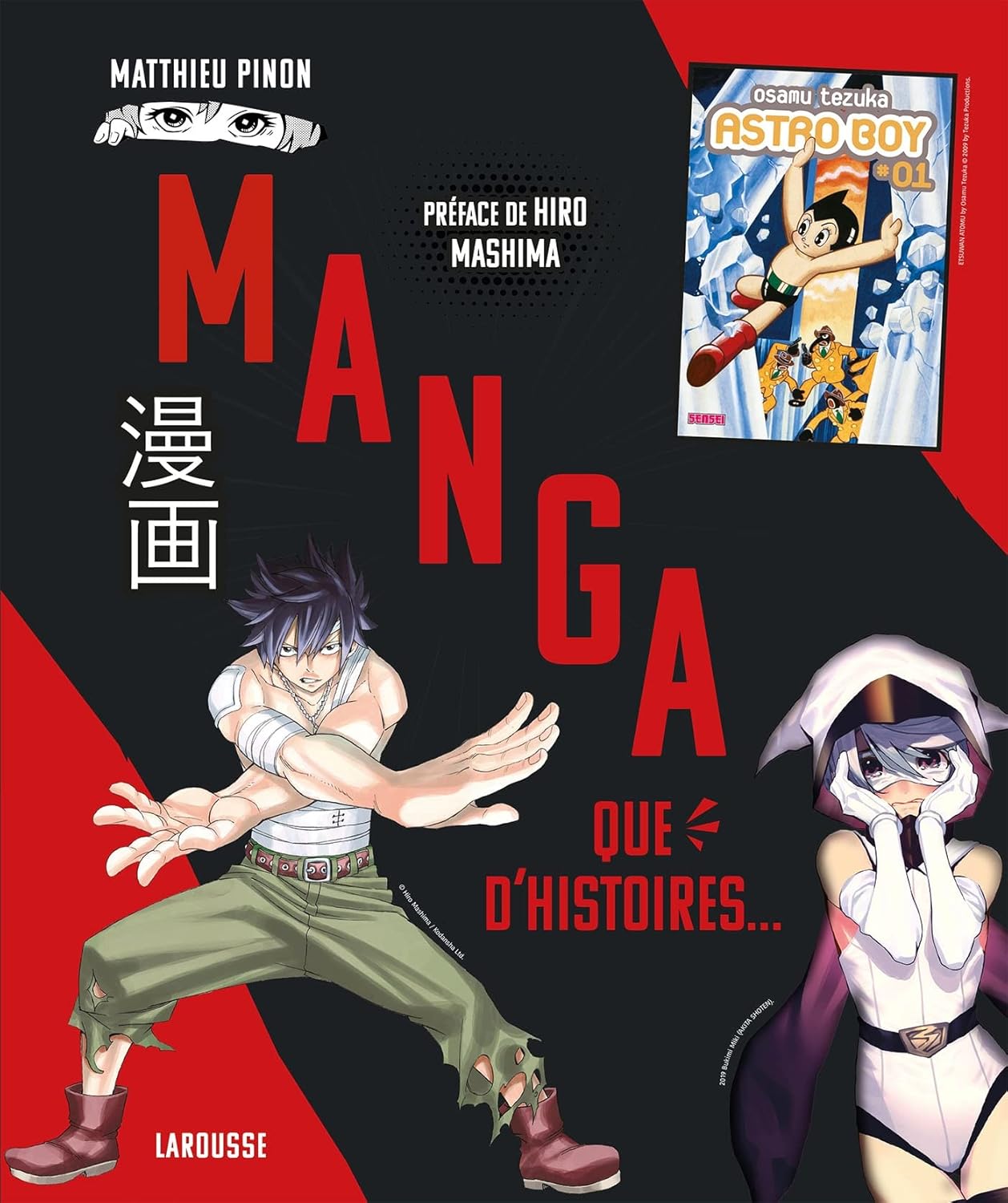 Manga, que d'histoires ! by Matthieu Pinon