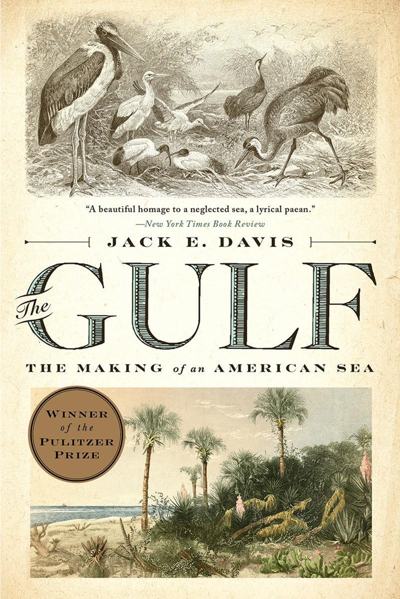 The Gulf: The Making of An American Sea by Jack E. Davis