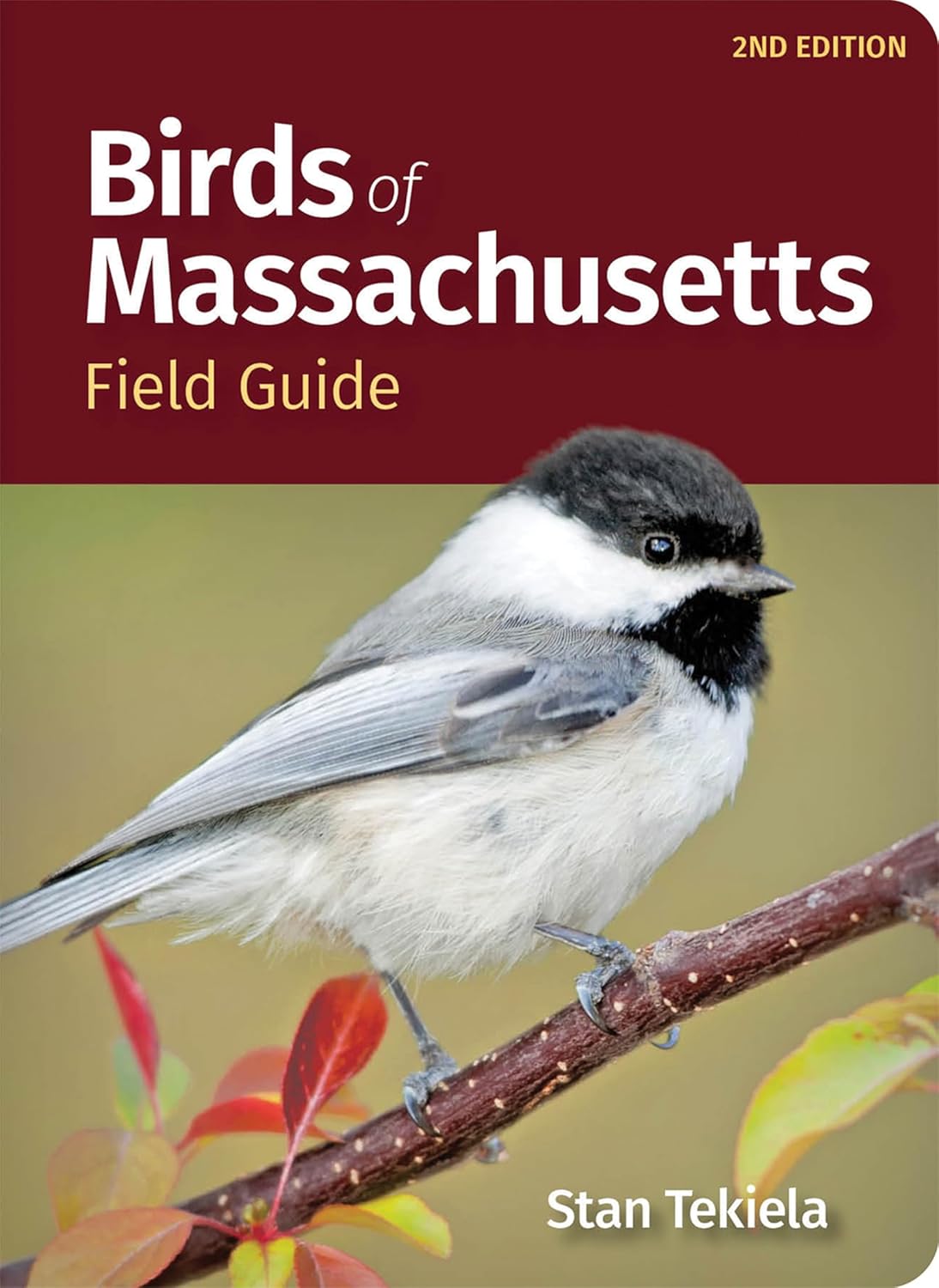 Birds of Massachusetts Field Guide (Bird Identification Guides) by Stan Tekiela