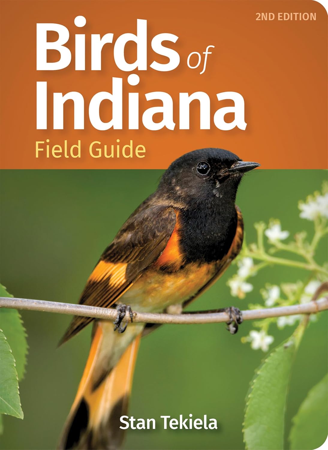 Birds of Indiana Field Guide (Bird Identification Guides) by Stan Tekiela