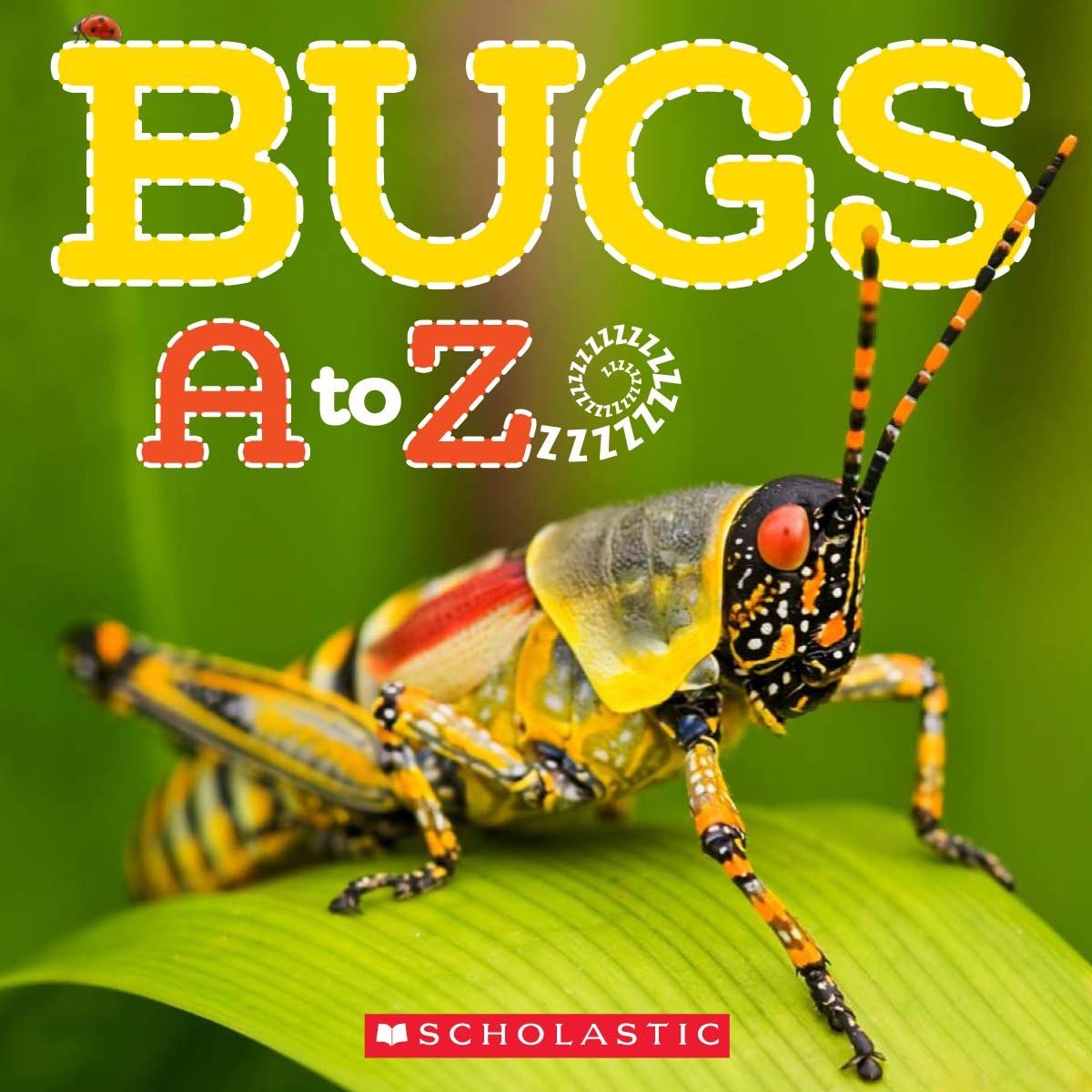 Bugs A to Z by Caroline Lawton