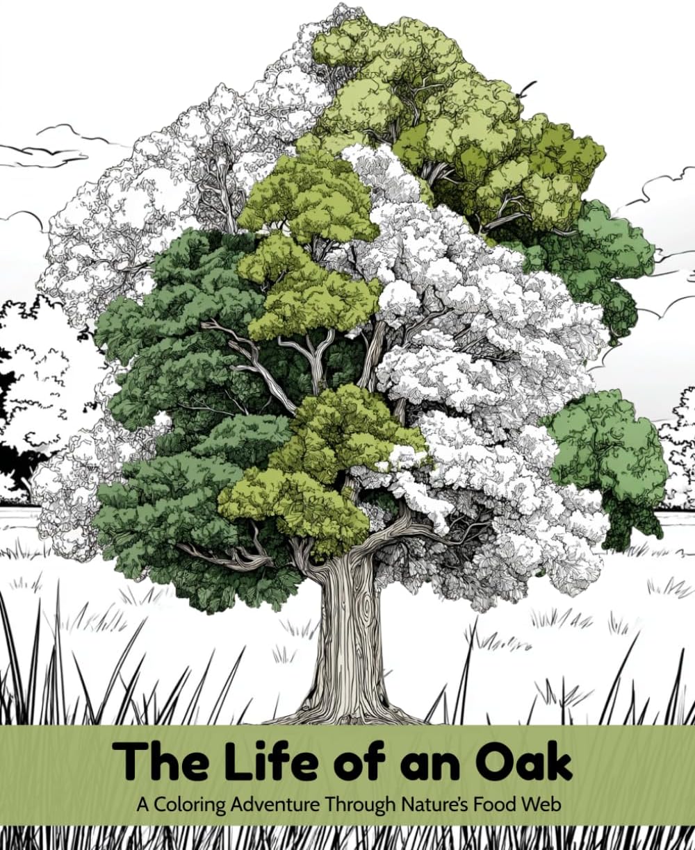 The Life of an Oak: A Coloring Adventure Through Nature's Food Web by Michelle Mayer