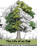 The Life of an Oak: A Coloring Adventure Through Nature's Food Web by Michelle Mayer