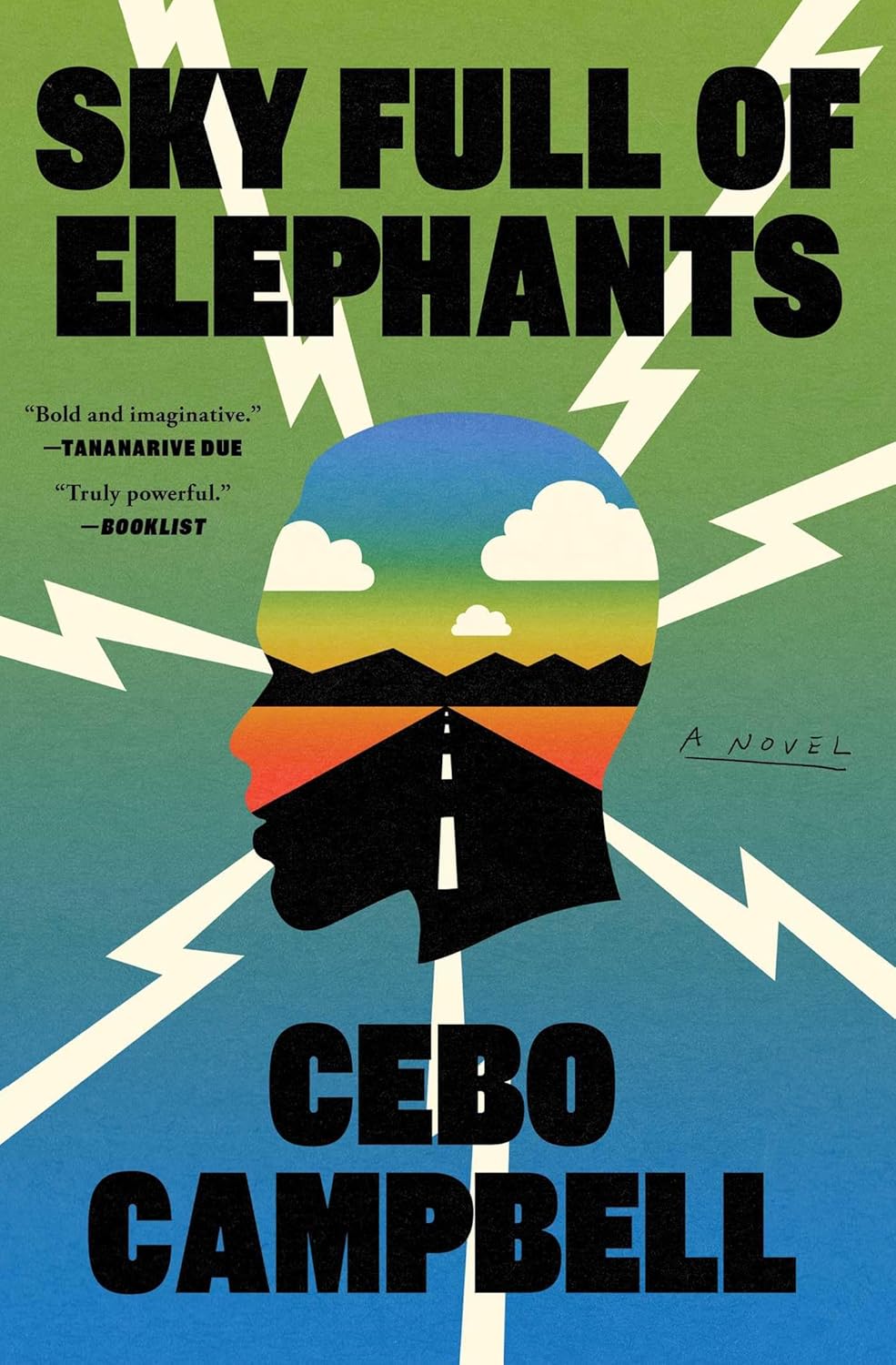 Sky Full of Elephants: A Novel by Cebo Campbell