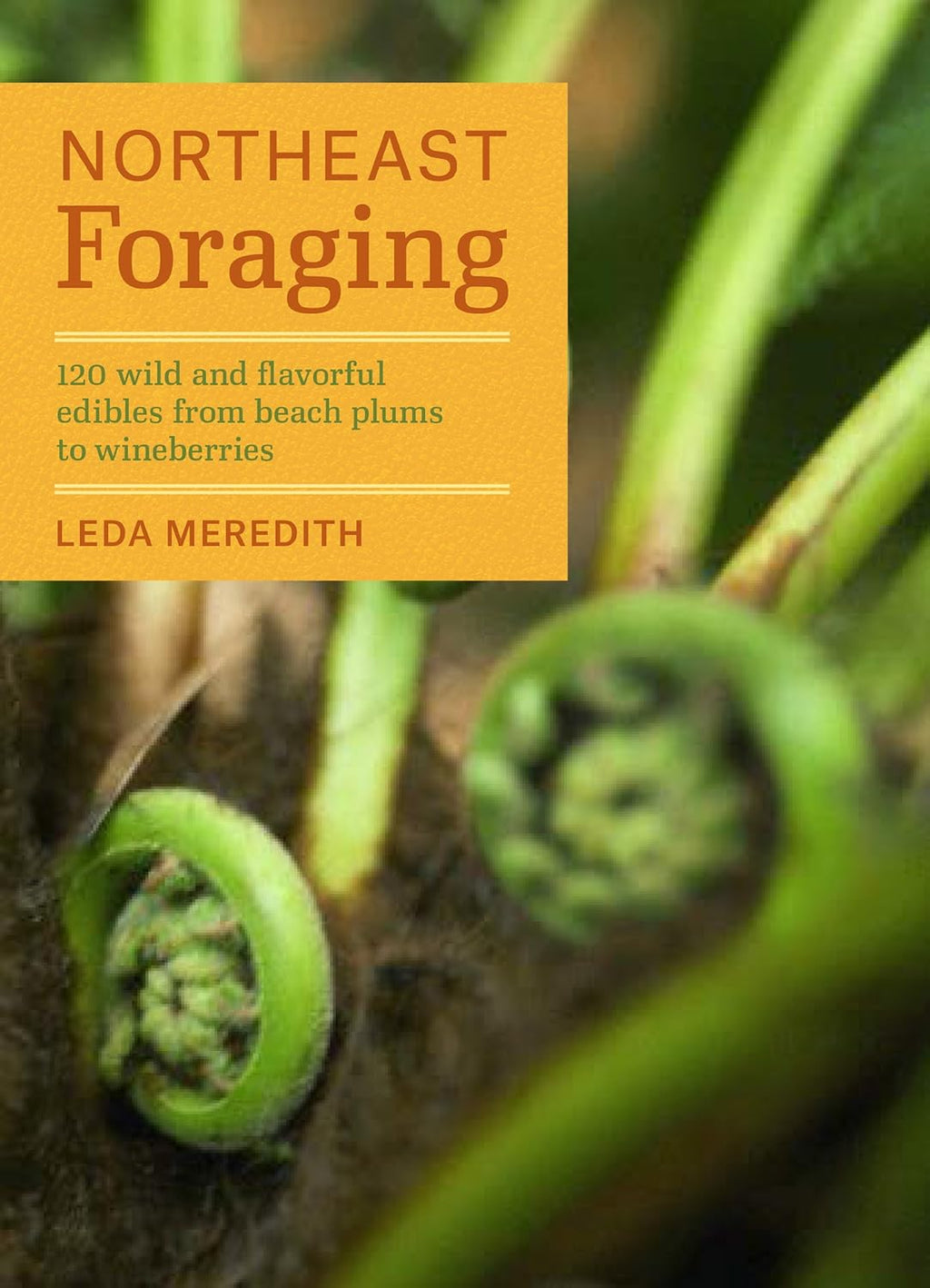 Northeast Foraging: 120 Wild and Flavorful Edibles from Beach Plums to Wineberries (Regional Foraging Series) by Leda Meredith