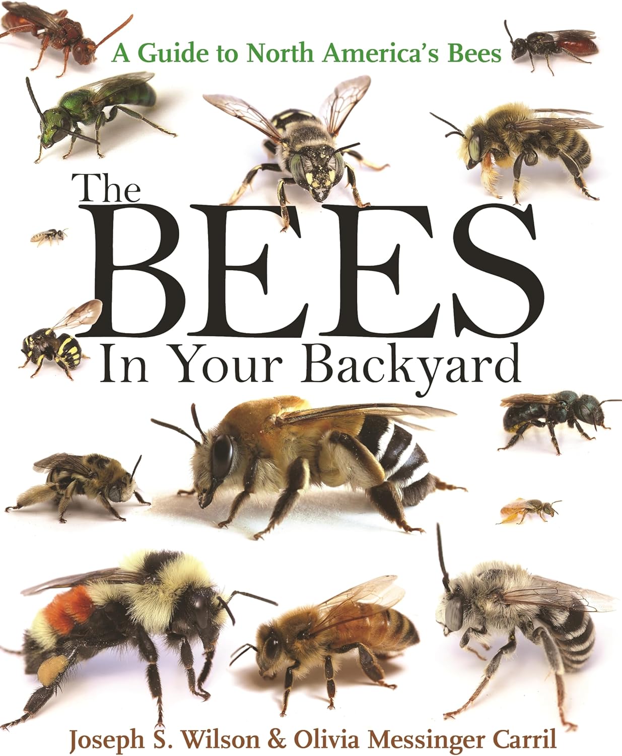 The Bees in Your Backyard: A Guide to North America's Bees by Joseph S. Wilson