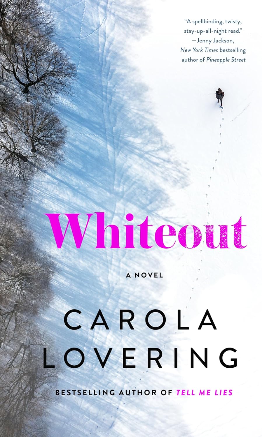 Whiteout: A Novel by Carola Lovering