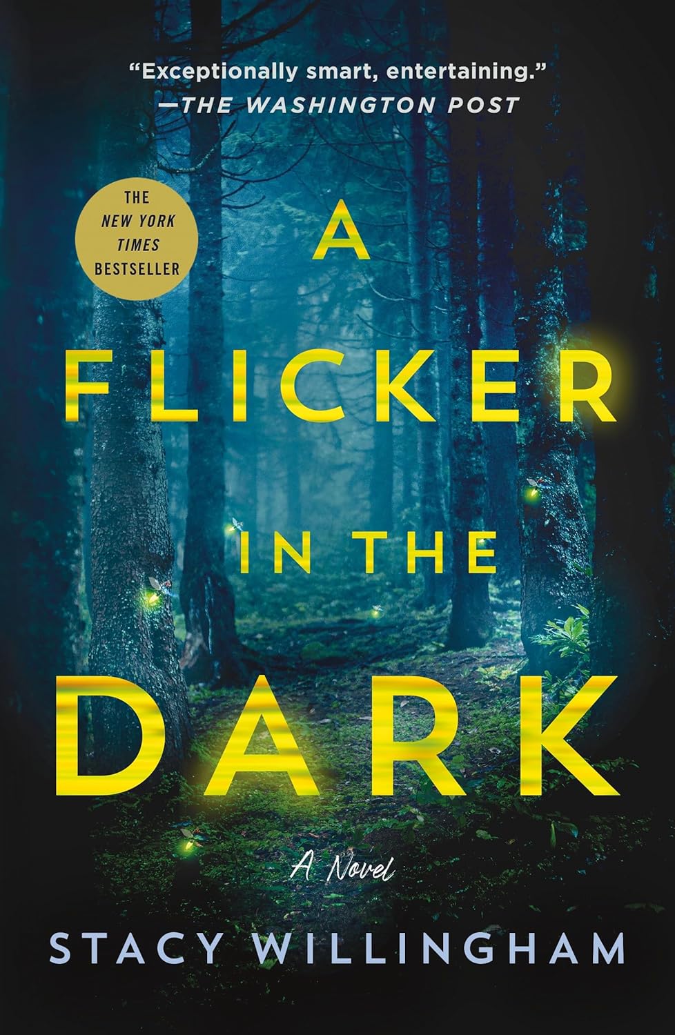 Flicker in the Dark by Stacy Willingham