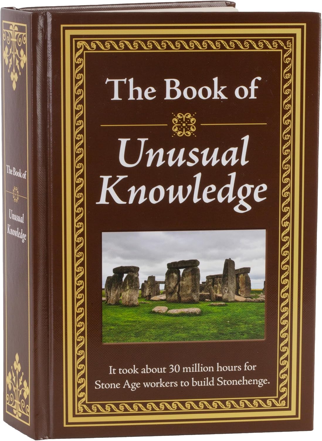 The Book of Unusual Knowledge: Big Book of Fascinating Facts & Information | Hardcover Gift for Trivia Buffs, Curious Minds, Adults, Dad & Knowledge Seekers by Publications International Ltd.
