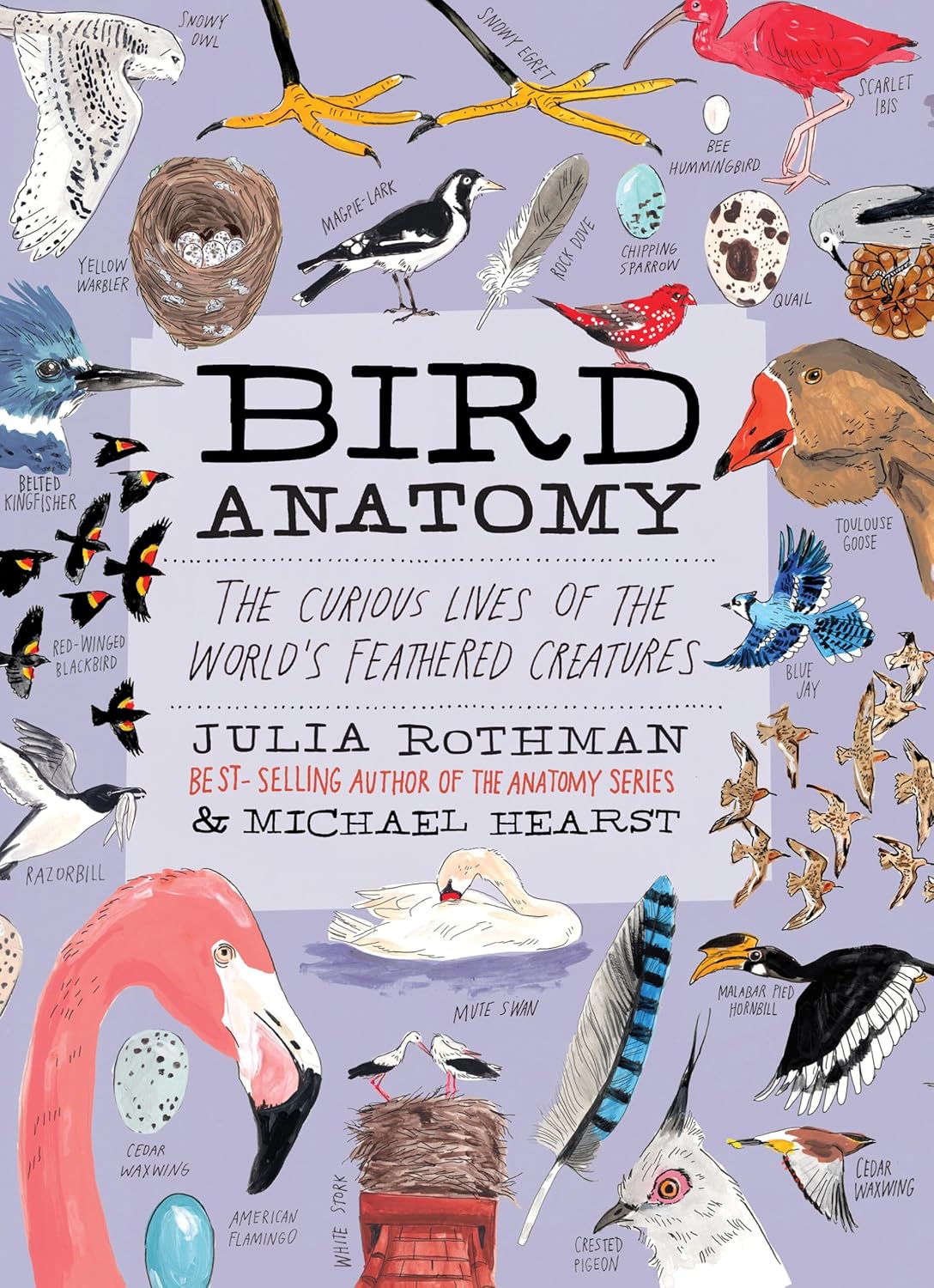 Bird Anatomy: The Curious Lives of the World's Feathered Creatures by Julia Rothman