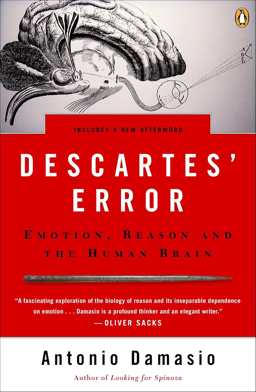 Descartes' Error: Emotion, Reason, and the Human Brain by Antonio Damasio
