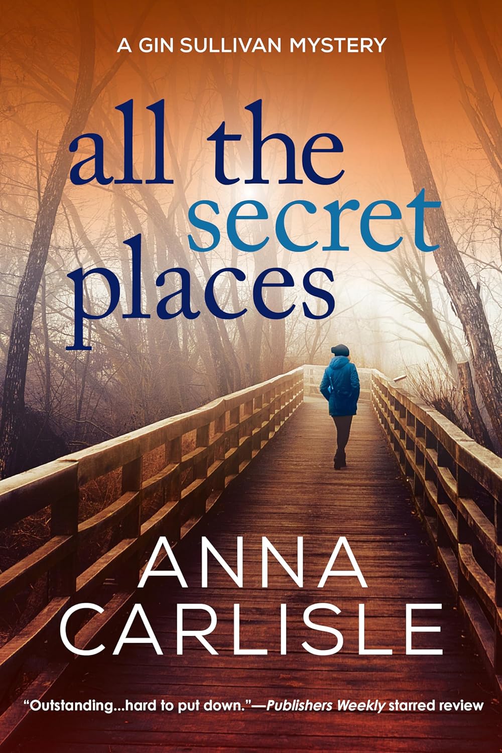 All the Secret Places: A Gin Sullivan Mystery by Anna Carlisle