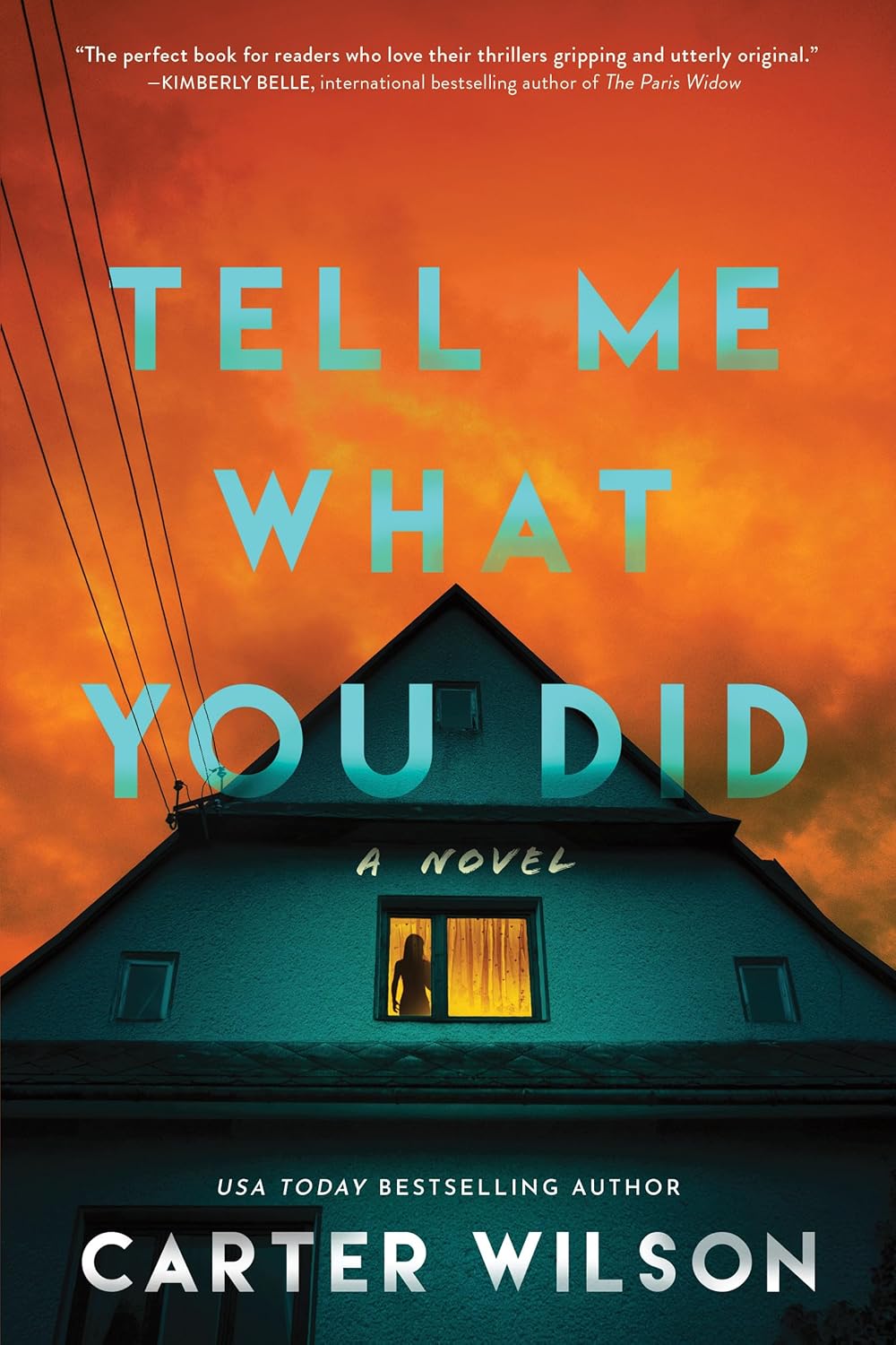 Tell Me What You Did: A Novel by Carter Wilson