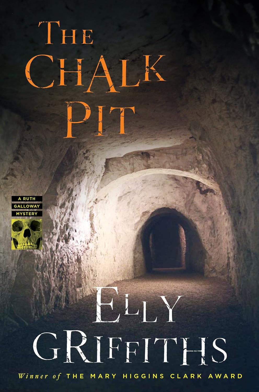 The Chalk Pit (Ruth Galloway Mystery) by Elly Griffiths