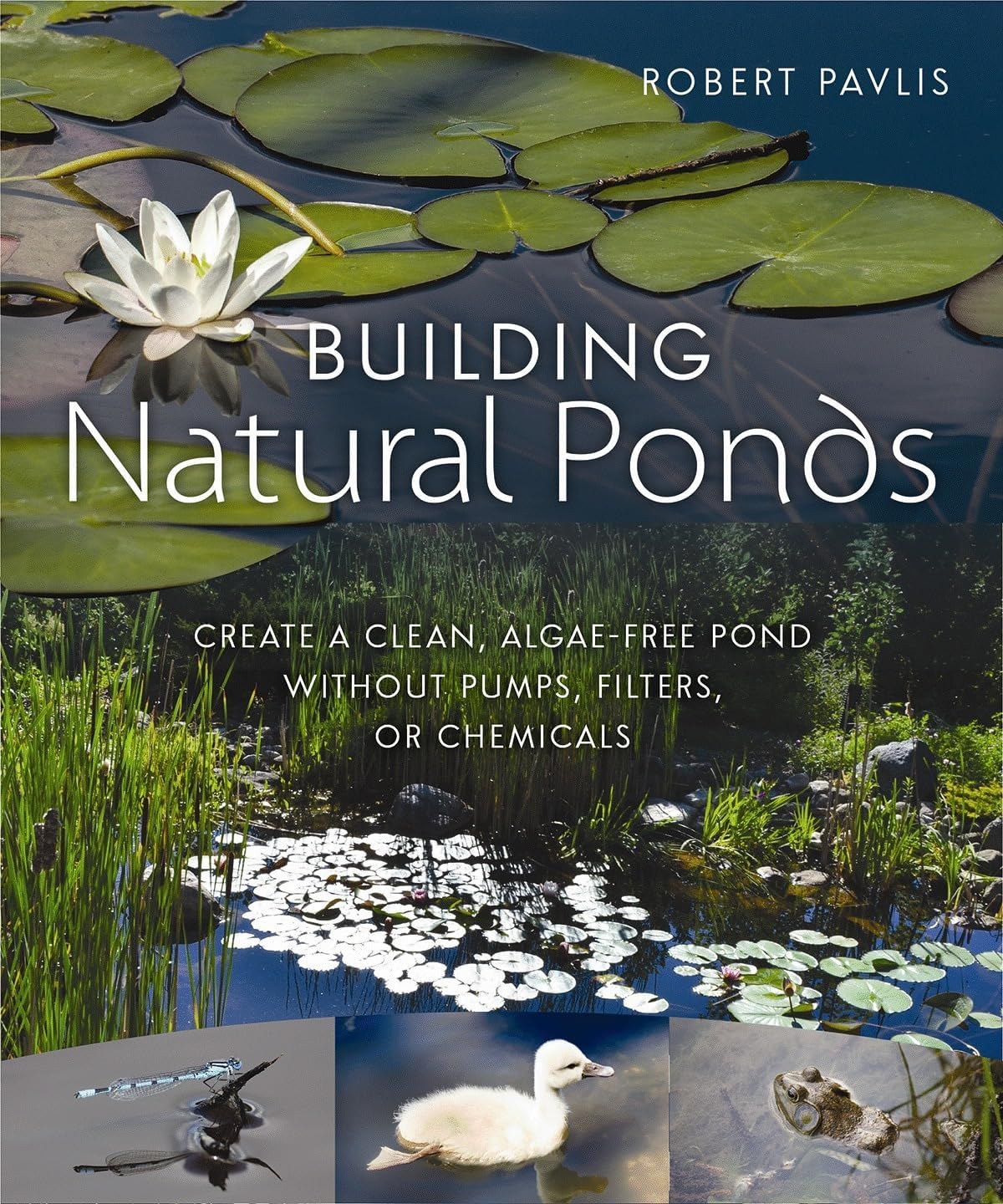 Building Natural Ponds: Create a Clean, Algae-free Pond without Pumps, Filters, or Chemicals by Robert Pavlis