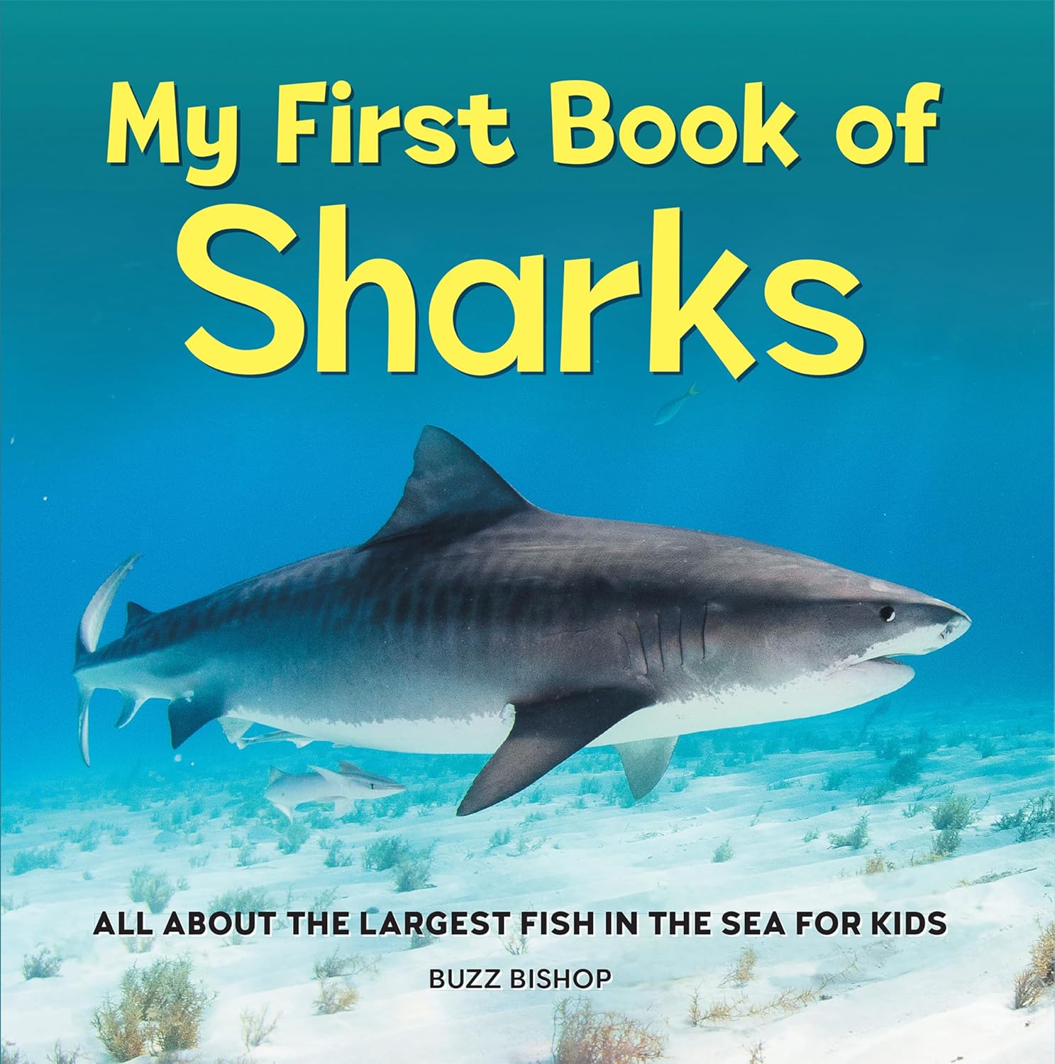 My First Book of Sharks: All About the Largest Fish in the Sea for Kids by Buzz Bishop