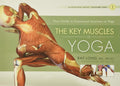 The Key Muscles of Yoga: Scientific Keys, Volume I by Ray Long