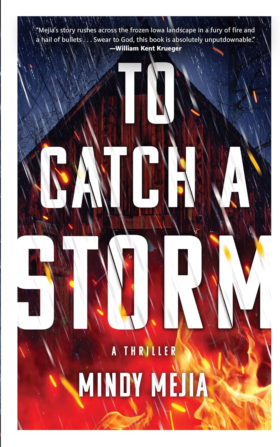 To Catch a Storm (Iowa Mysteries Series, 1) by Mindy Mejia