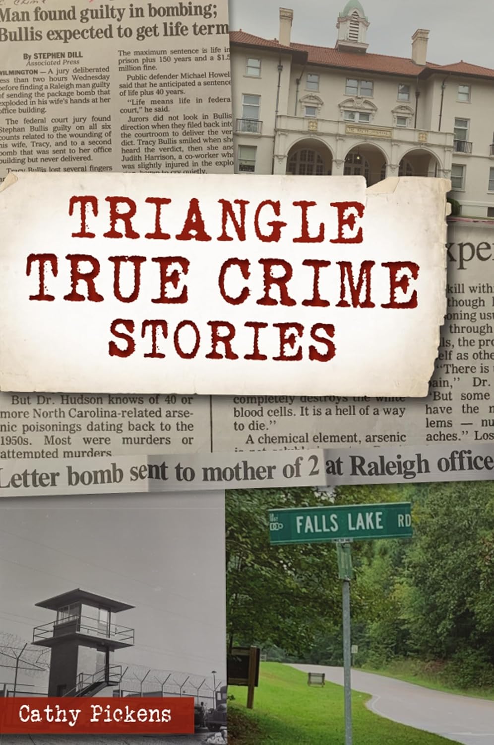 Triangle True Crime Stories by Cathy Pickens