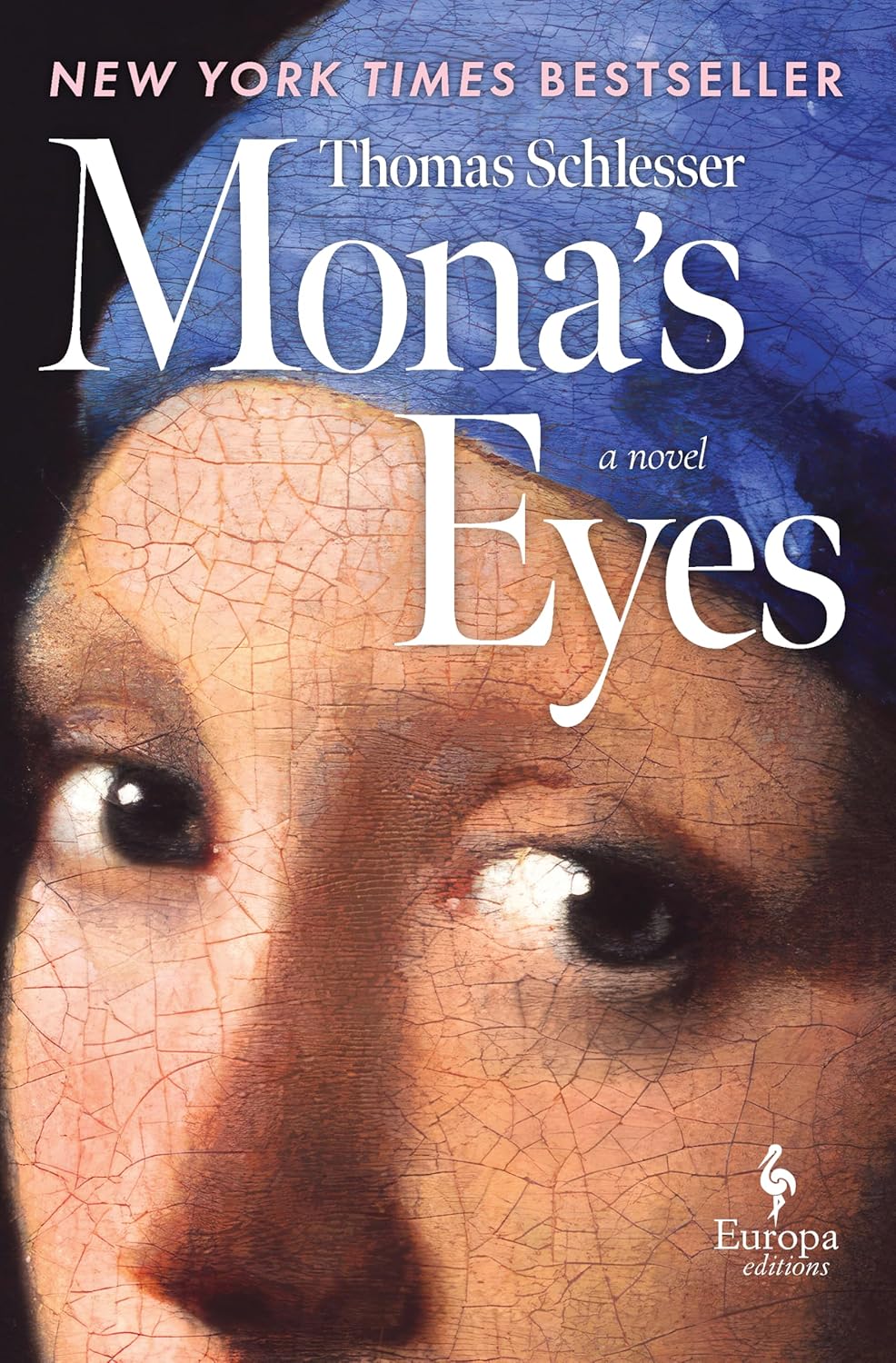 Mona's Eyes: A Novel by Thomas Schlesser