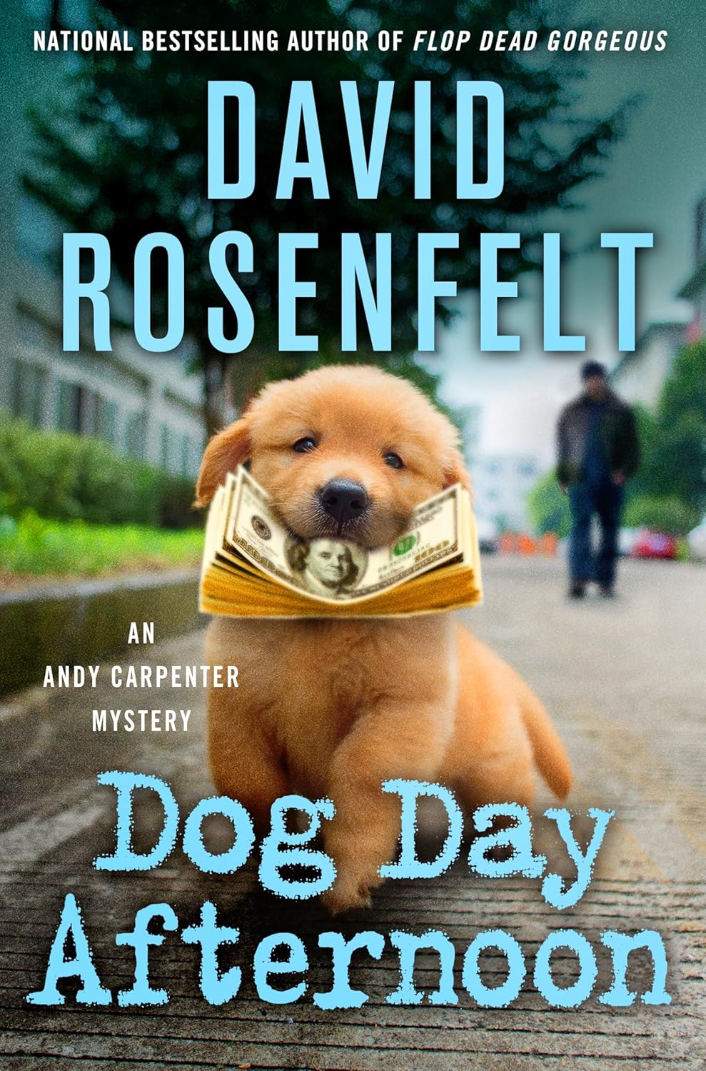 Dog Day Afternoon: An Andy Carpenter Mystery (An Andy Carpenter Novel, 29) by David Rosenfelt