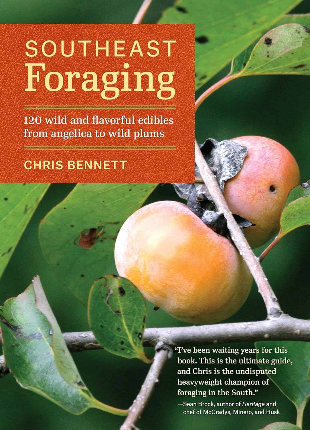 Southeast Foraging: 120 Wild and Flavorful Edibles from Angelica to Wild Plums (Regional Foraging Series) by Chris Bennett