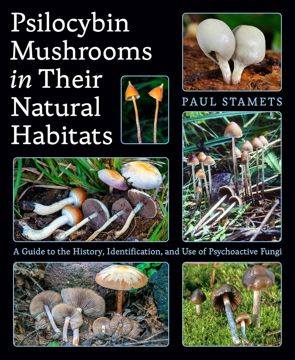 Psilocybin Mushrooms in Their Natural Habitats: A Guide to the History, Identification, and Use of Psychoactive Fungi by Paul Stamets