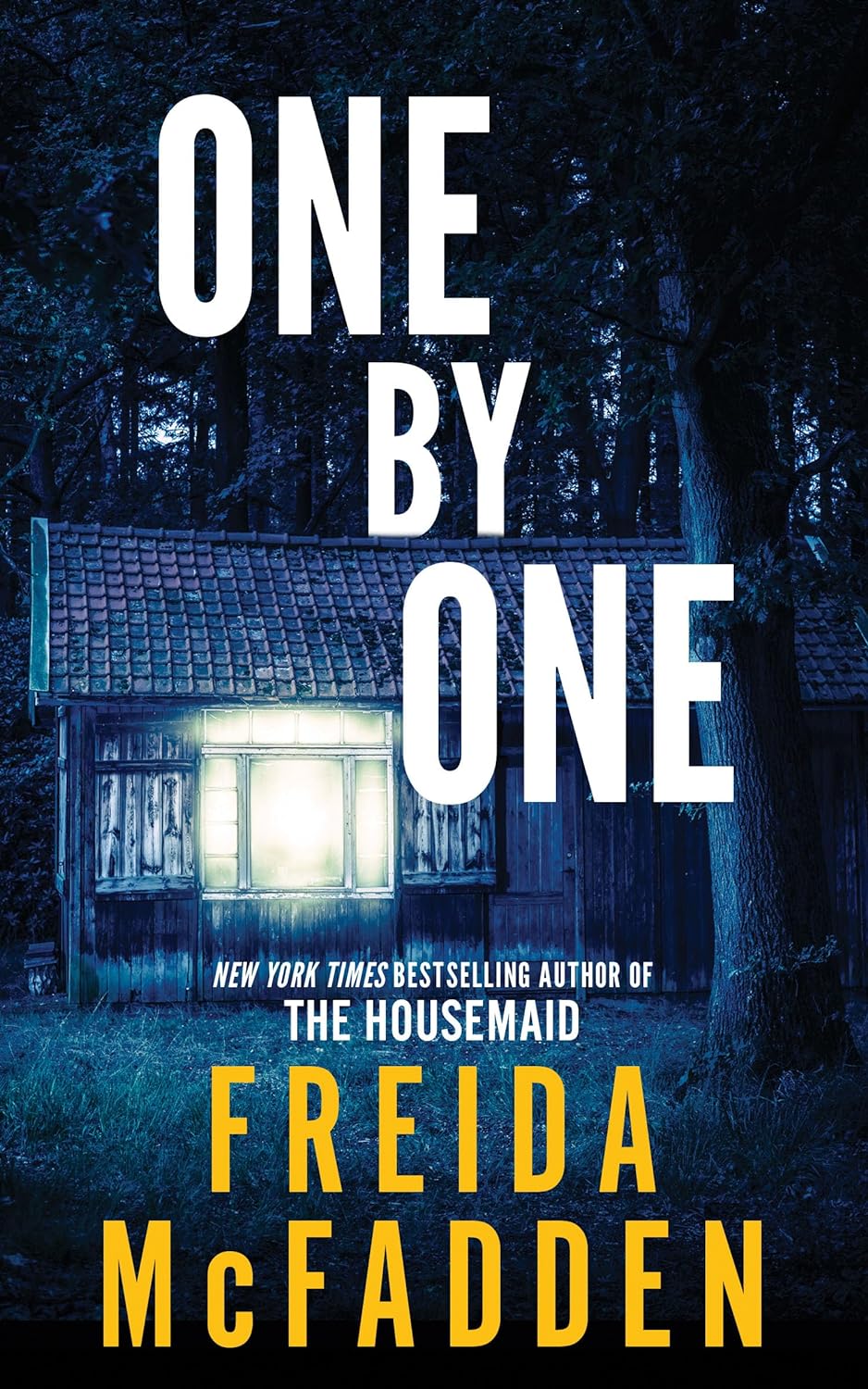 One by One: A Lost in the Woods Survival Thriller by Freida McFadden