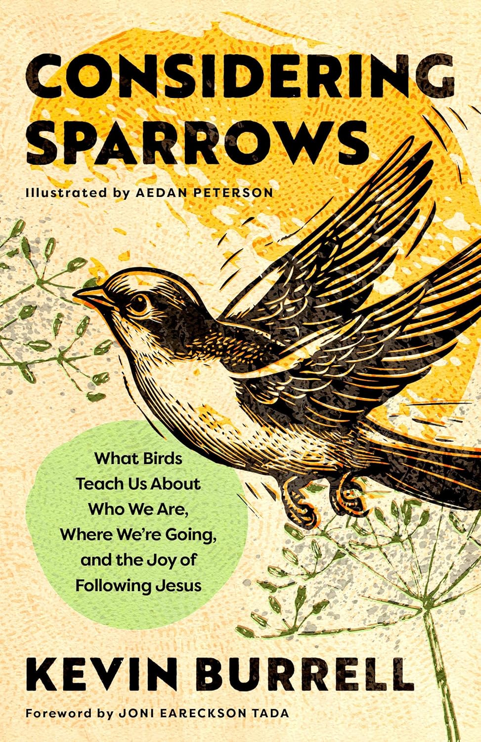 Considering Sparrows: What Birds Teach Us About Who We Are, Where We're Going, and the Joy of Following Jesus by Kevin Burrell