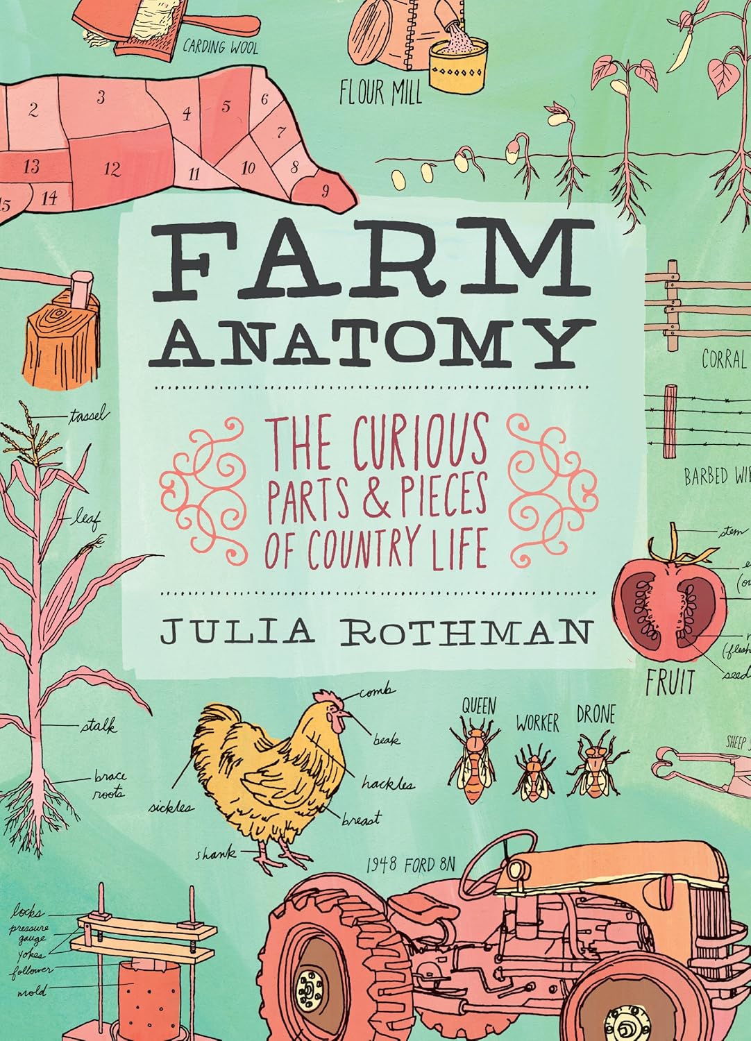 Farm Anatomy: The Curious Parts and Pieces of Country Life by Julia Rothman
