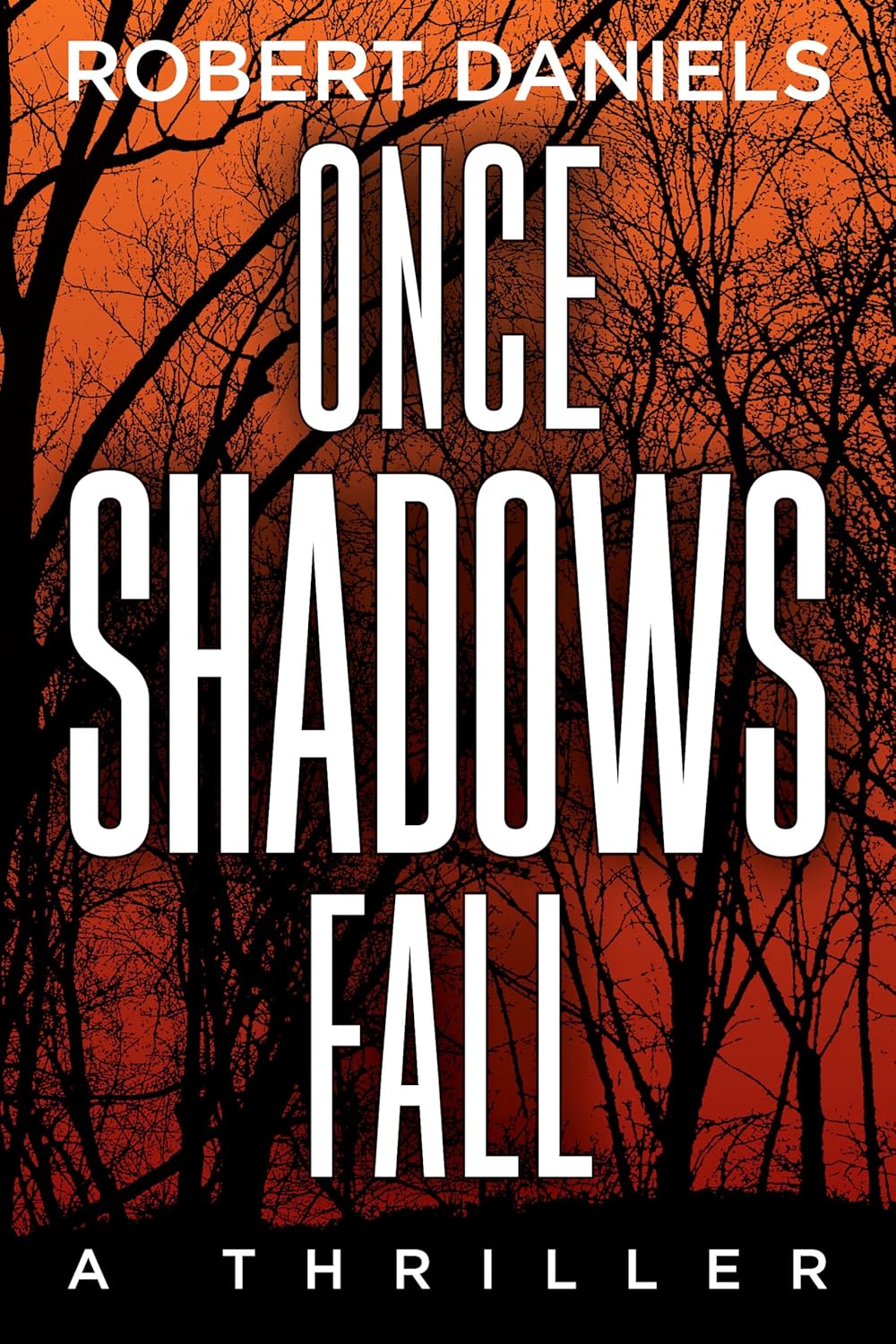 Once Shadows Fall: A Jack Kale and Beth Sturgis Mystery by Robert Daniels