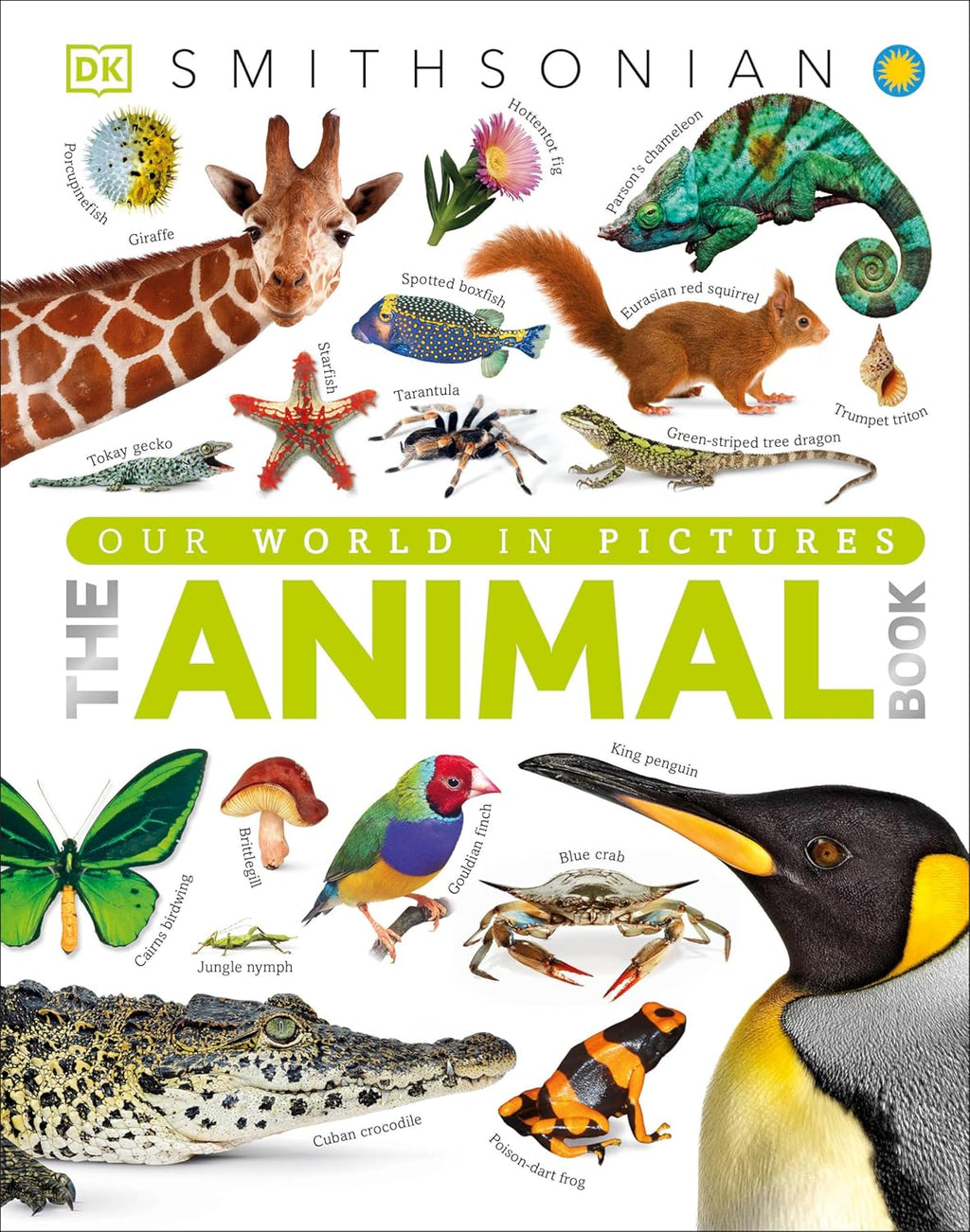 The Animal Book: A Visual Encyclopedia of Life on Earth (DK Our World in Pictures) by David Burnie