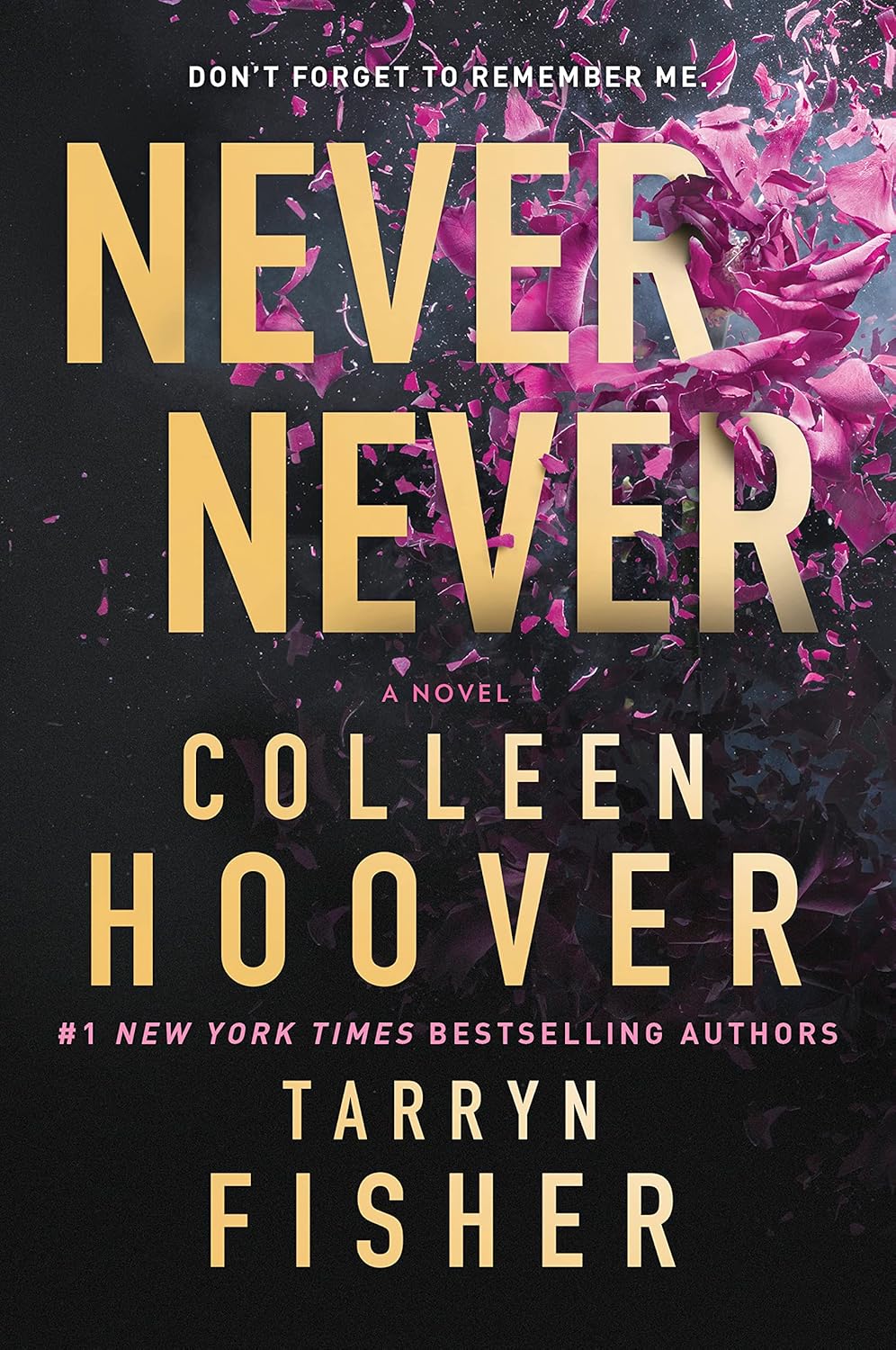 Never Never: A Romantic Suspense Novel of Love and Fate by Colleen Hoover