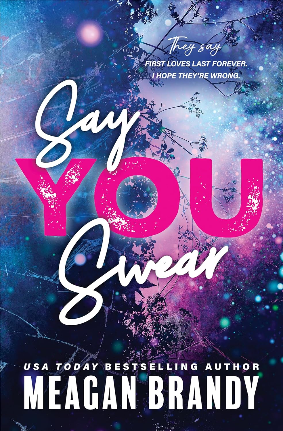 Say You Swear: An Emotional New Adult Sports Romance (Boys of Avix, 1) by Meagan Brandy