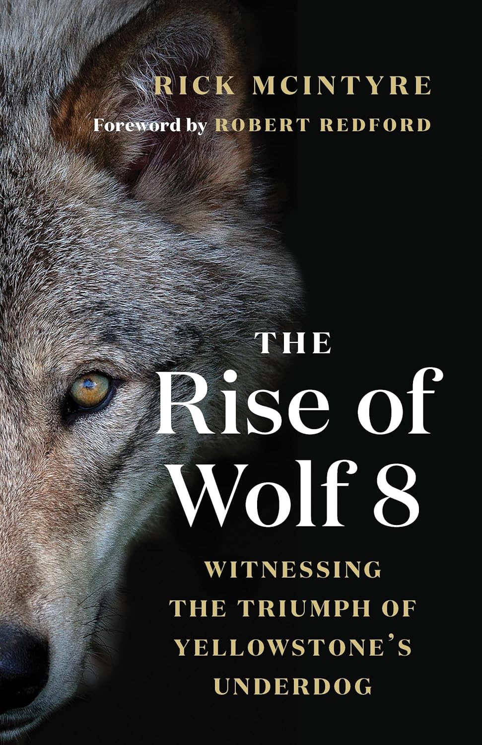 The Rise of Wolf 8: Witnessing the Triumph of Yellowstone's Underdog (The Alpha Wolves of Yellowstone, 1) by Rick McIntyre