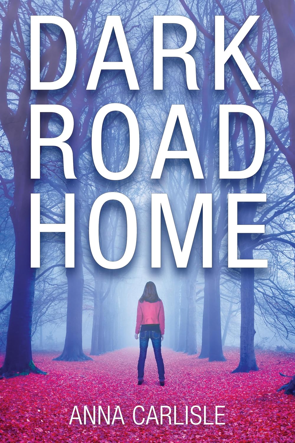 Dark Road Home: A Gin Sullivan Mystery by Anna Carlisle