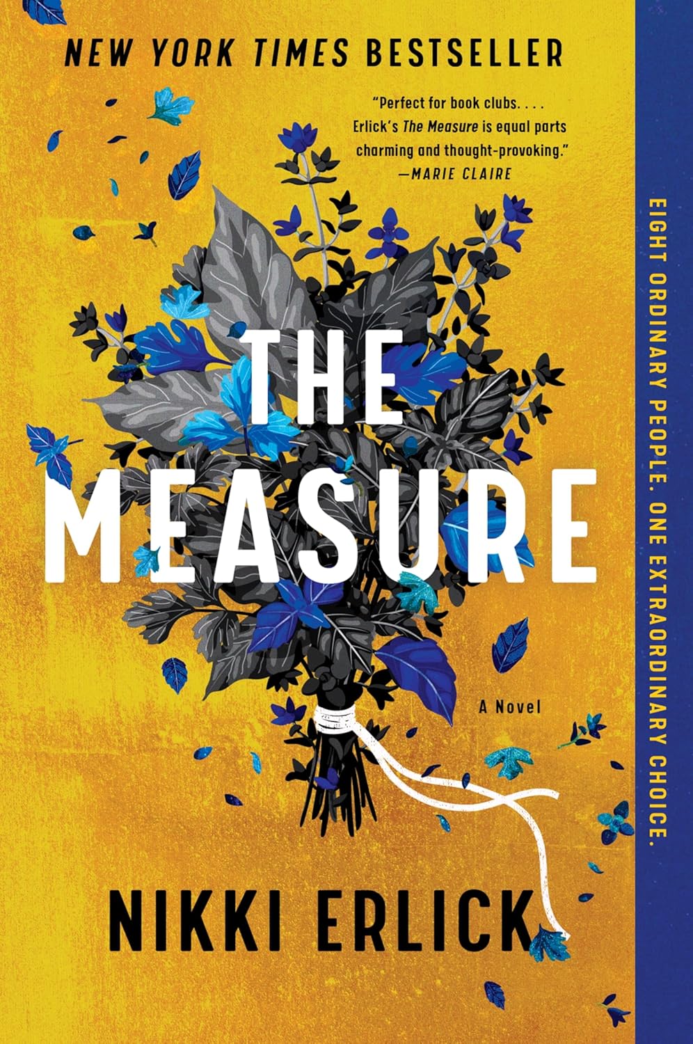 The Measure: A Novel by Nikki Erlick