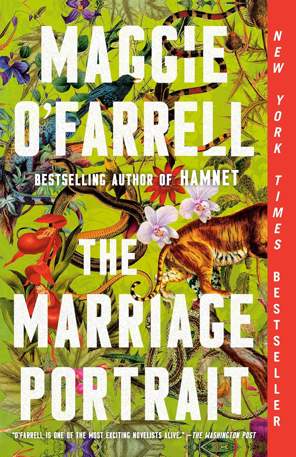 The Marriage Portrait: Reese's Book Club: A novel by Maggie O'Farrell