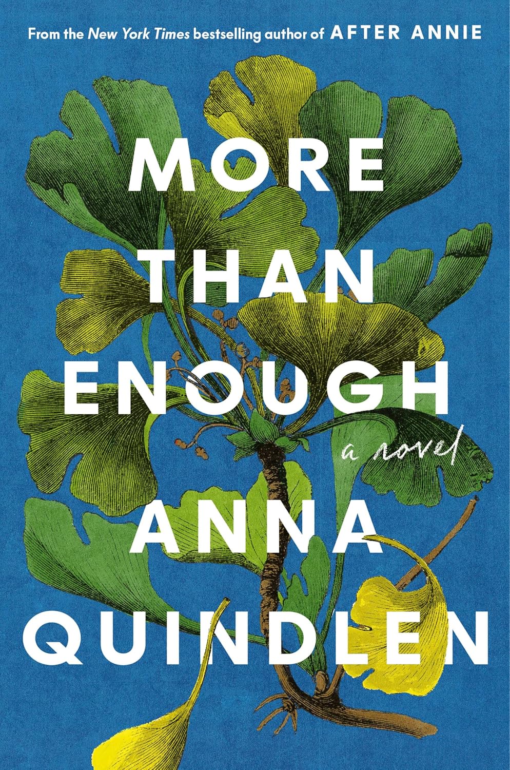 More Than Enough: A Novel by Anna Quindlen
